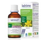 Agrimony - fresh plant extract